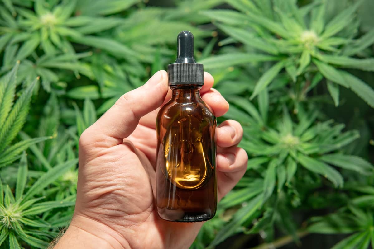 How To Take CBD Oil: A Simple Guide [2021]